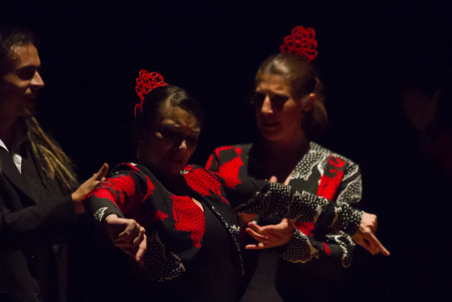 fotografia flamenco antonio canales 044