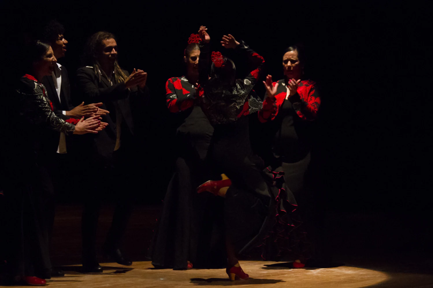 fotografia flamenco antonio canales 045