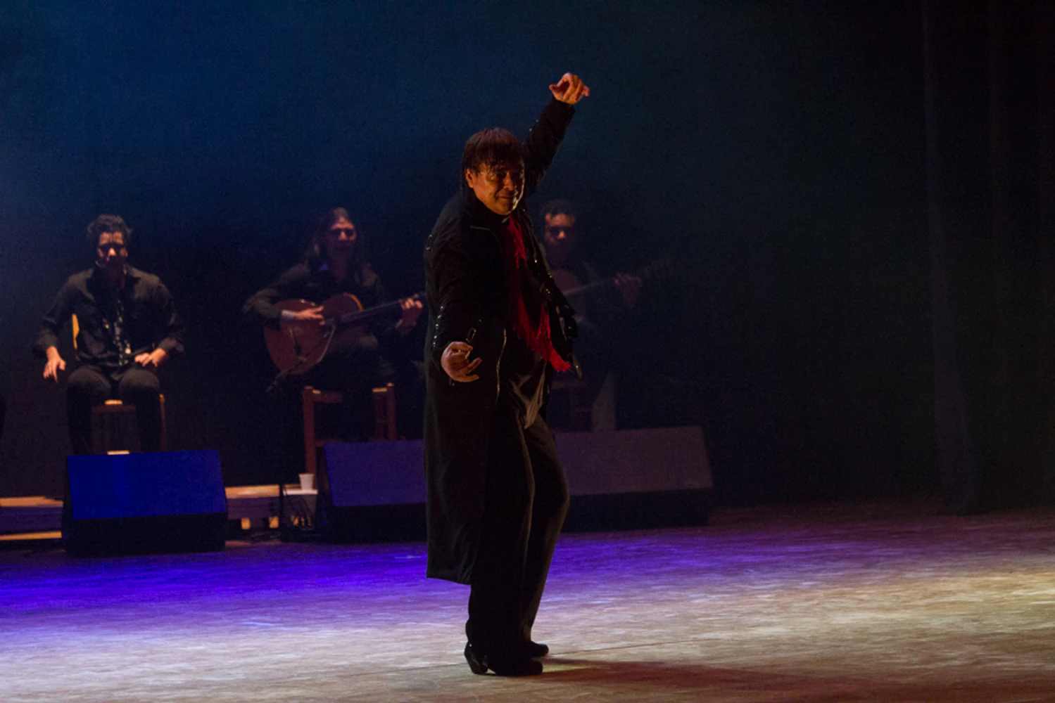 fotografia flamenco antonio canales 048