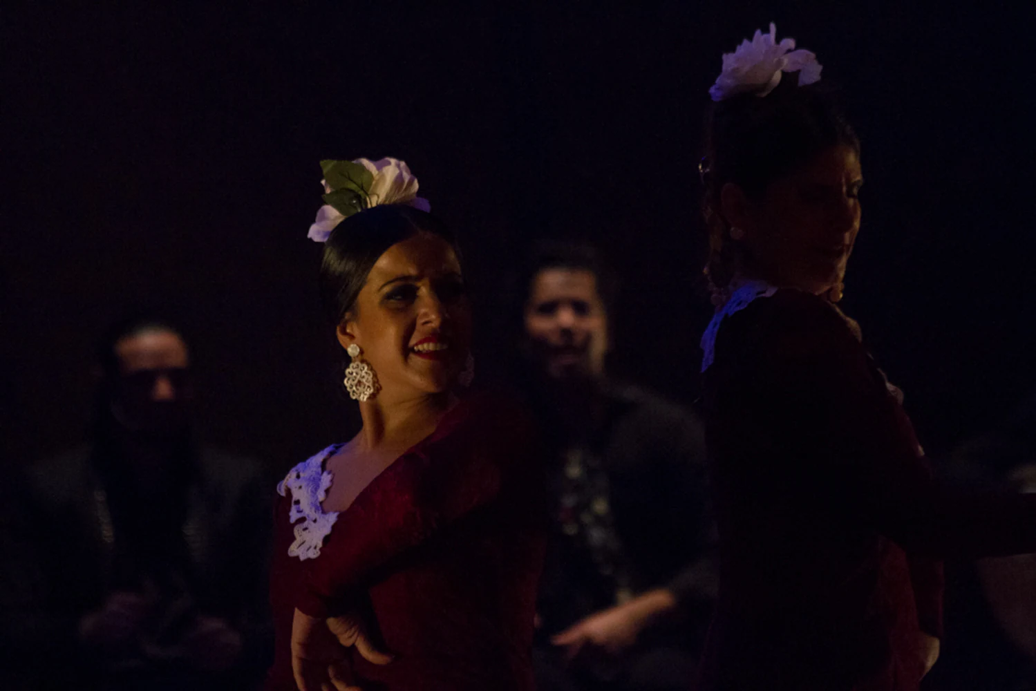 fotografia flamenco antonio canales 049