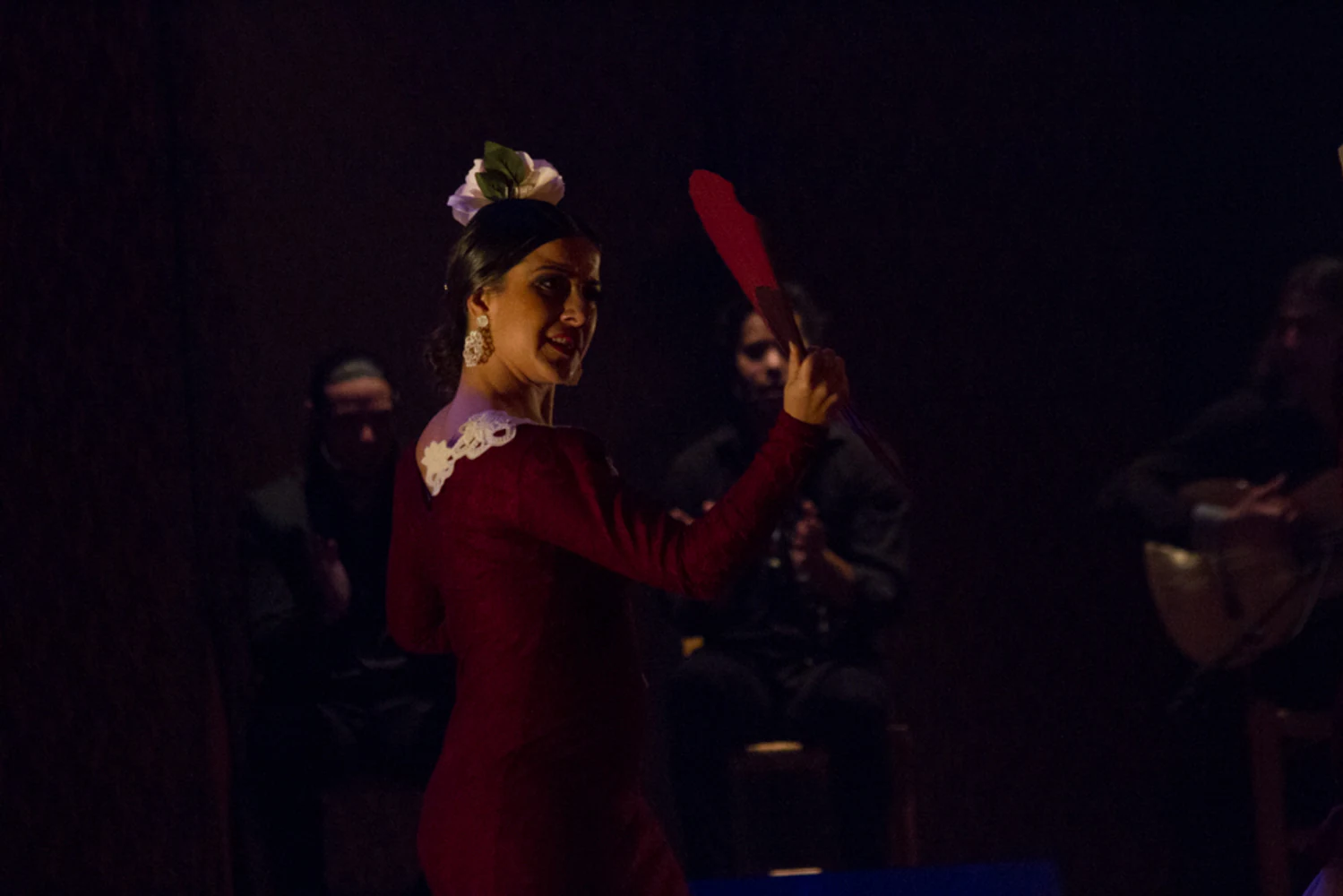 fotografia flamenco antonio canales 050