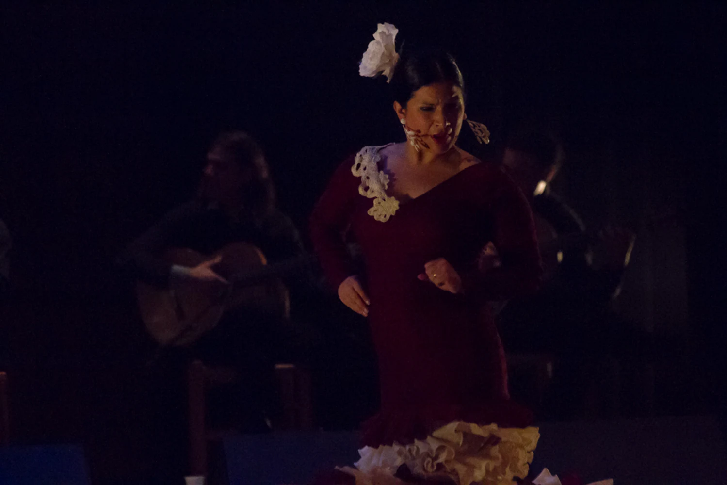 fotografia flamenco antonio canales 051