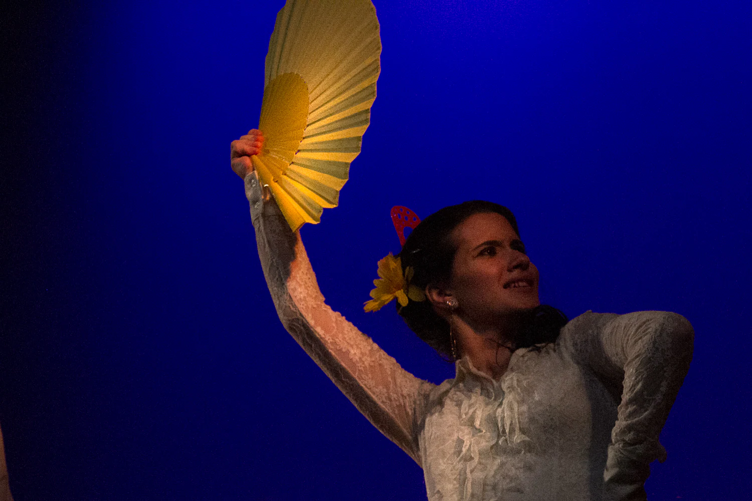 fotografia flamenco girasoles efyc 002