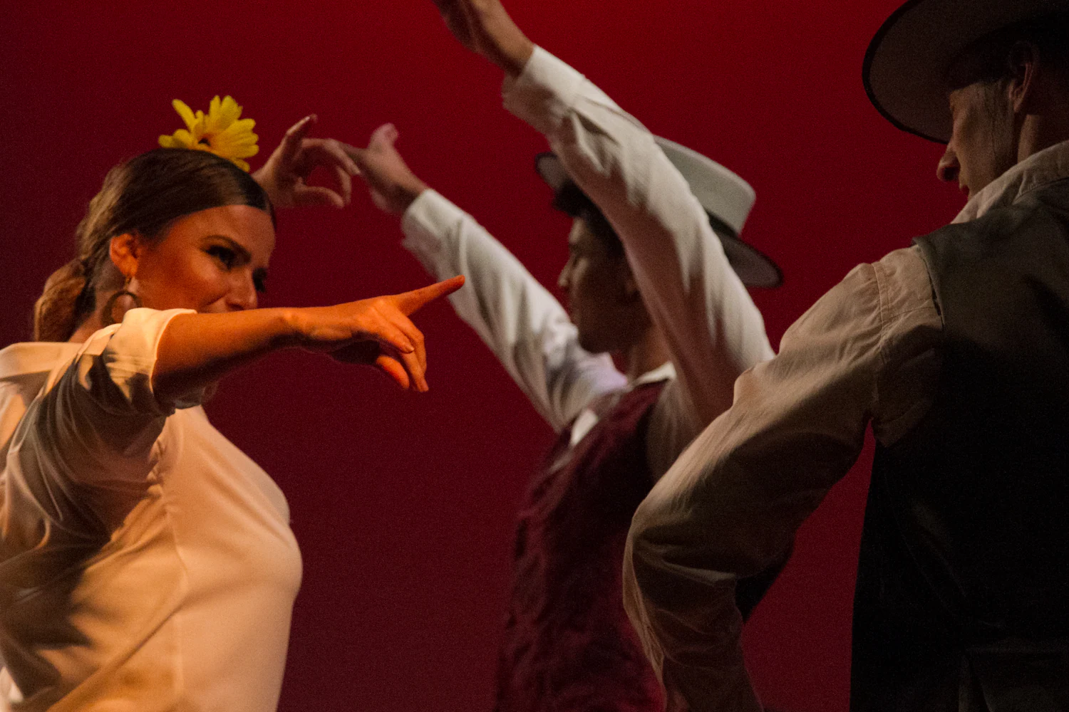 fotografia flamenco girasoles efyc 004