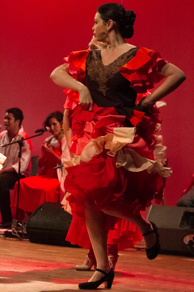 fotografia flamenco girasoles efyc 010