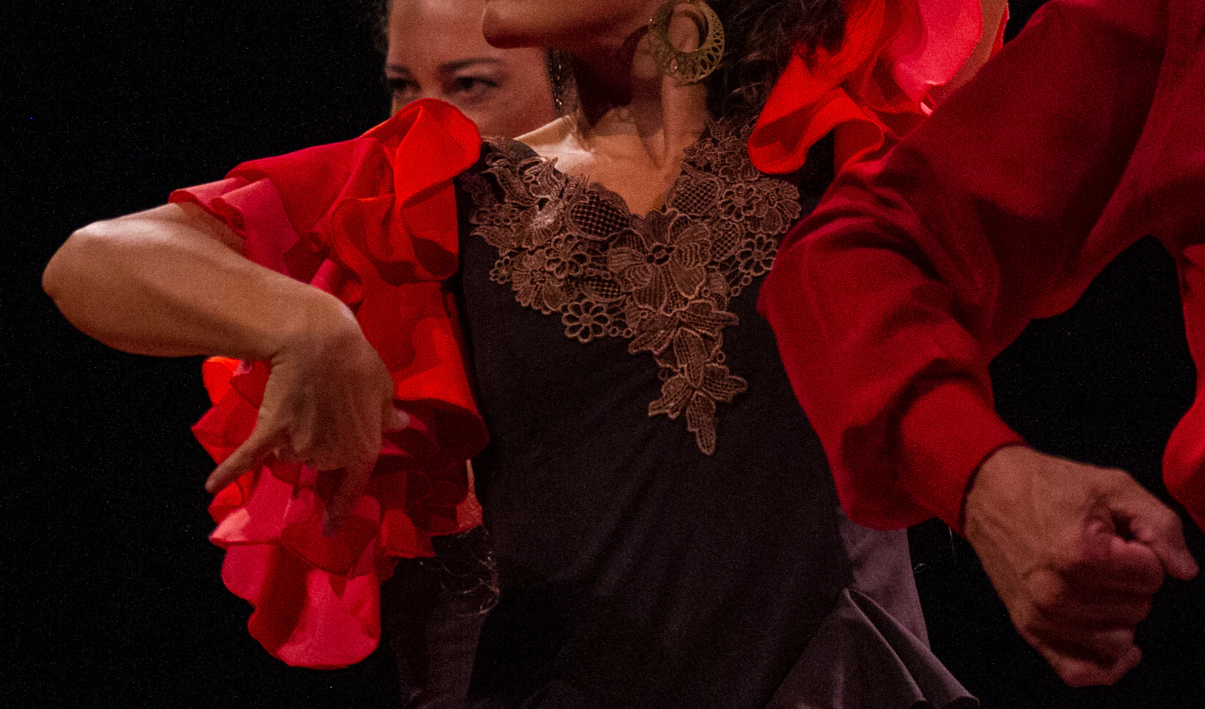 fotografia flamenco girasoles efyc 011