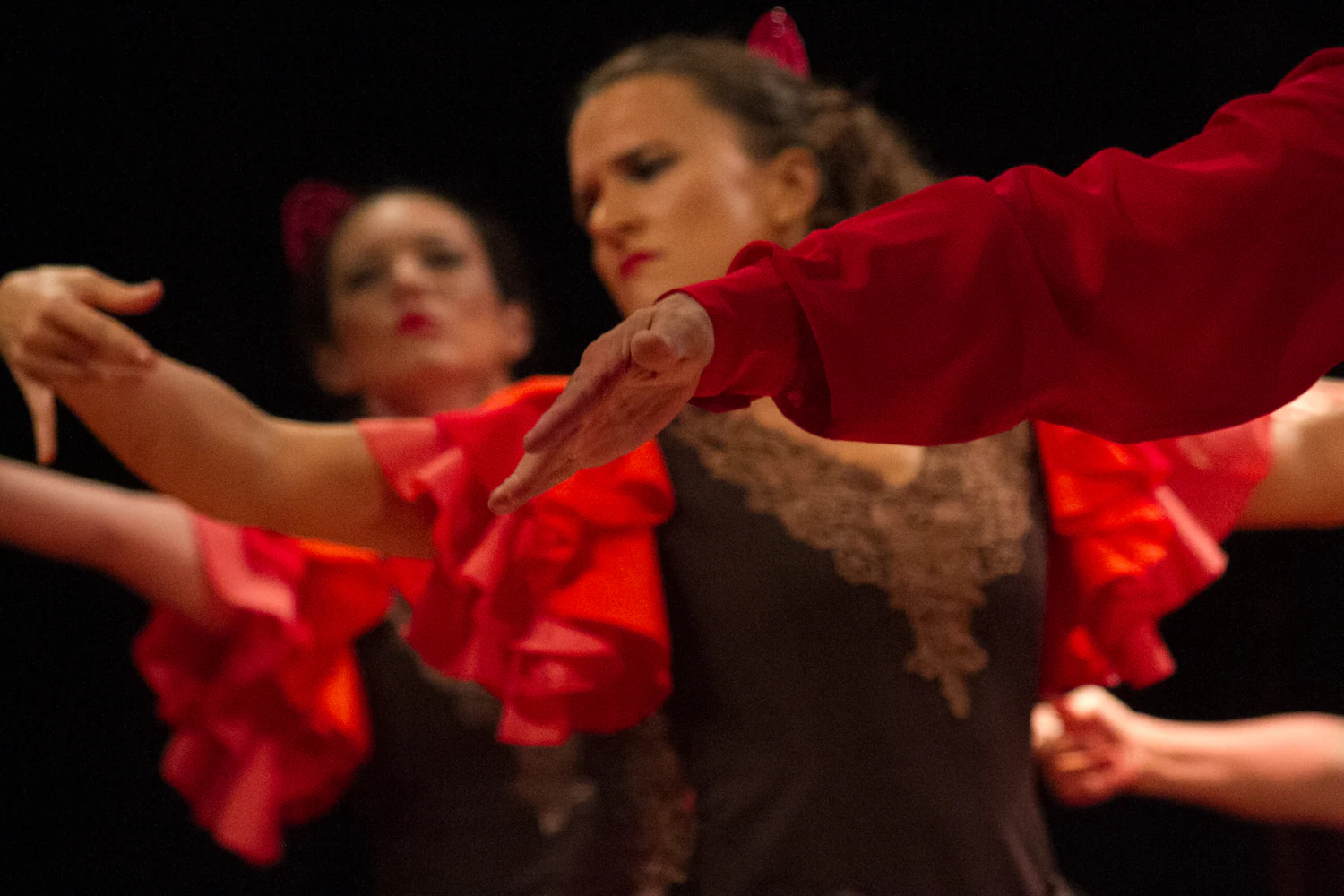fotografia flamenco girasoles efyc 012