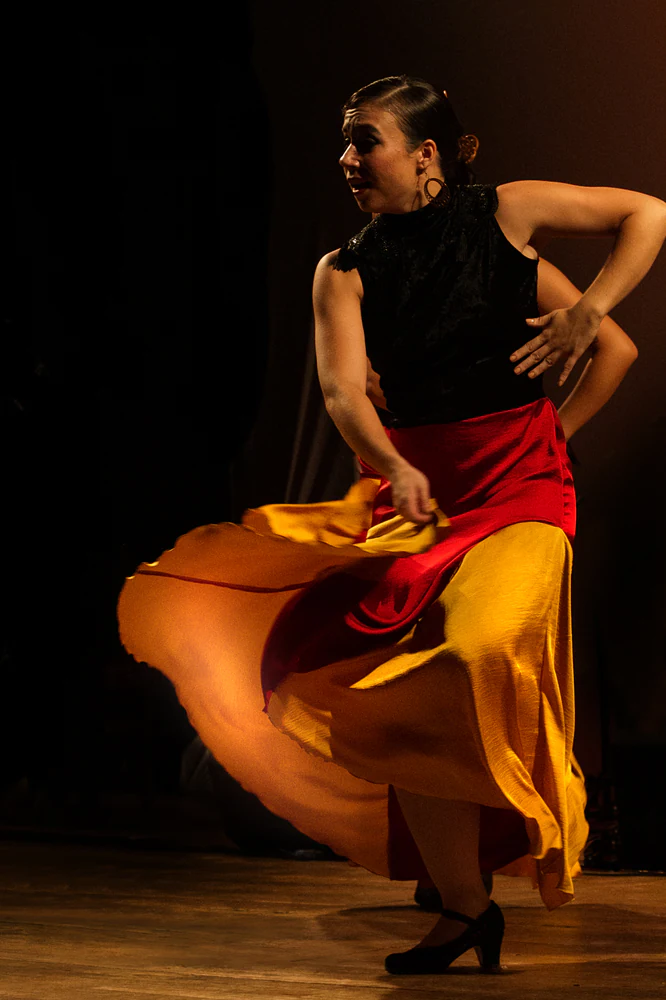 fotografia flamenco girasoles efyc 016