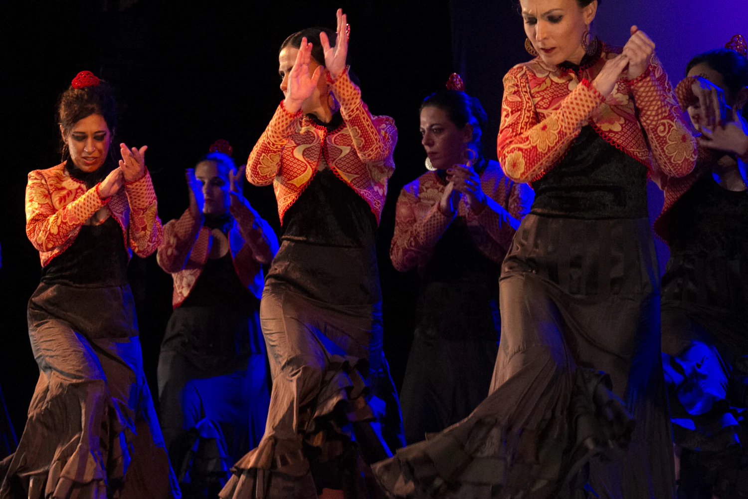 fotografia flamenco girasoles efyc 018