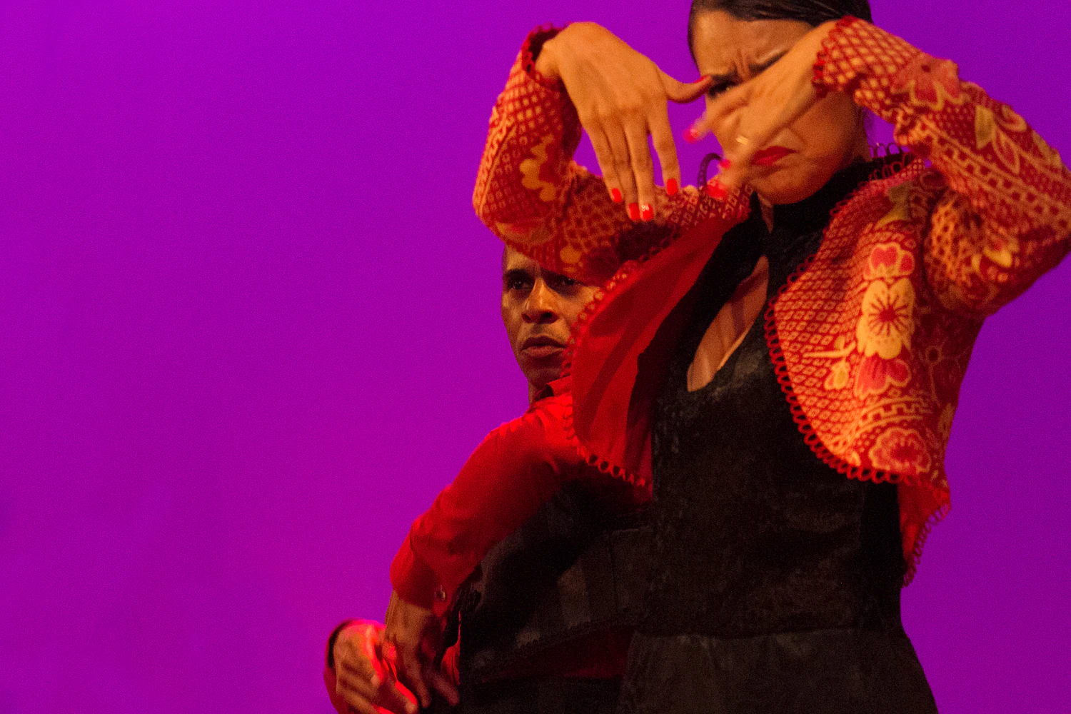 fotografia flamenco girasoles efyc 019