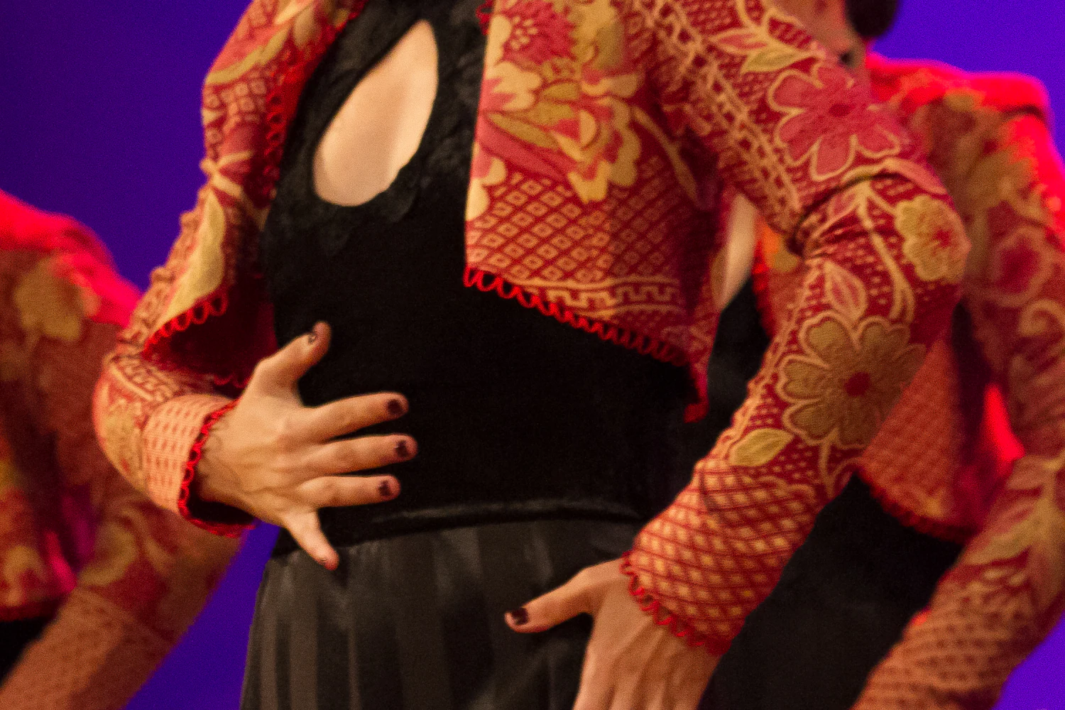 fotografia flamenco girasoles efyc 020