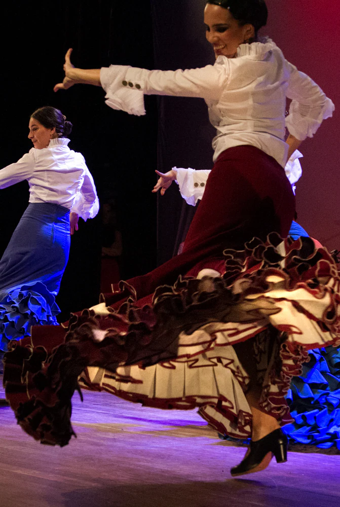 fotografia flamenco girasoles efyc 022
