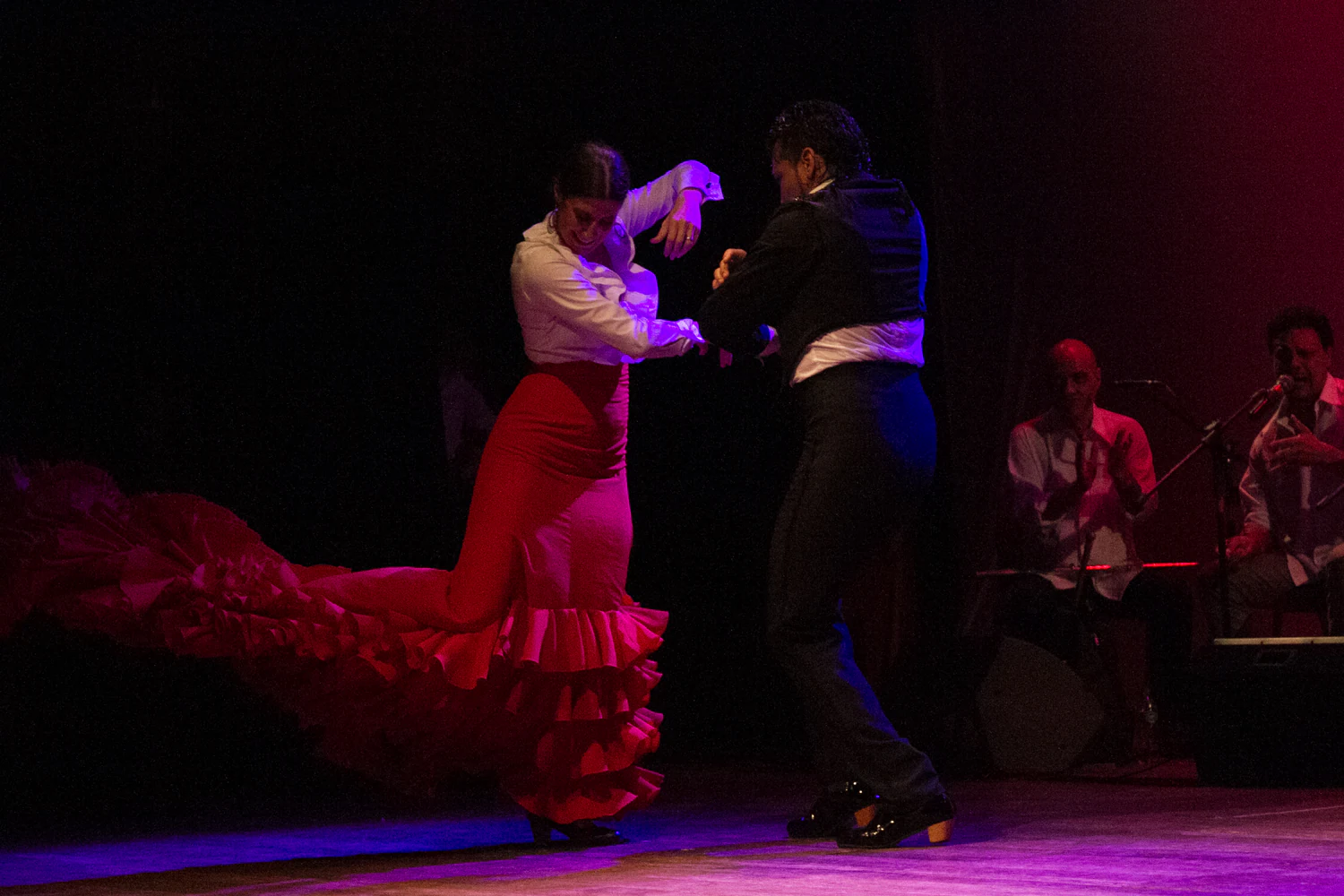fotografia flamenco girasoles efyc 023