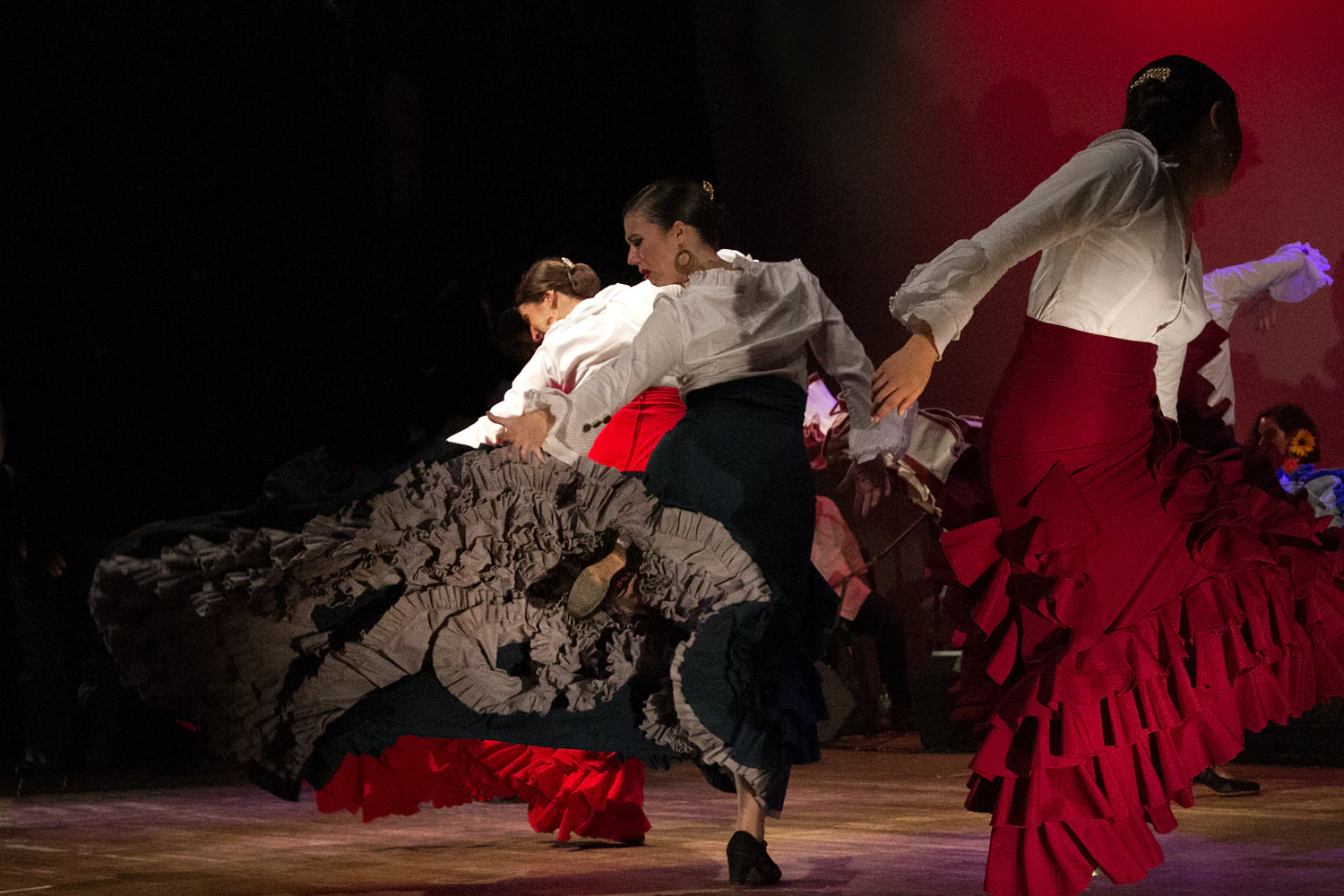 fotografia flamenco girasoles efyc 024