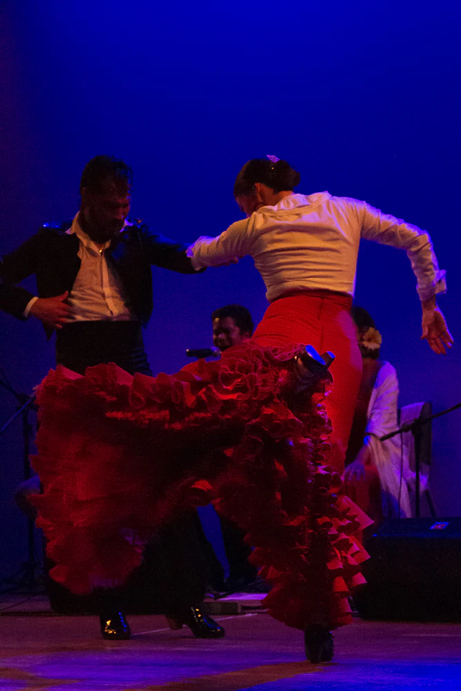 fotografia flamenco girasoles efyc 026