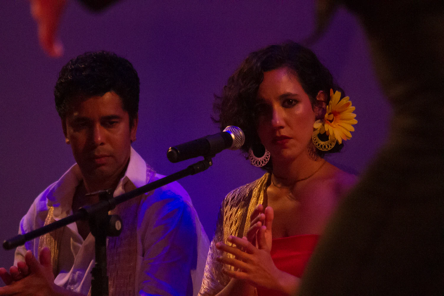 fotografia flamenco girasoles efyc 030