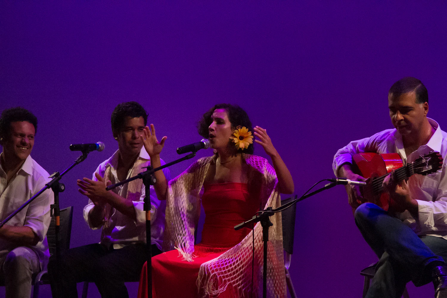 fotografia flamenco girasoles efyc 033
