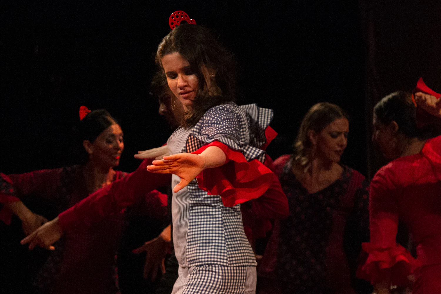 fotografia flamenco girasoles efyc 036