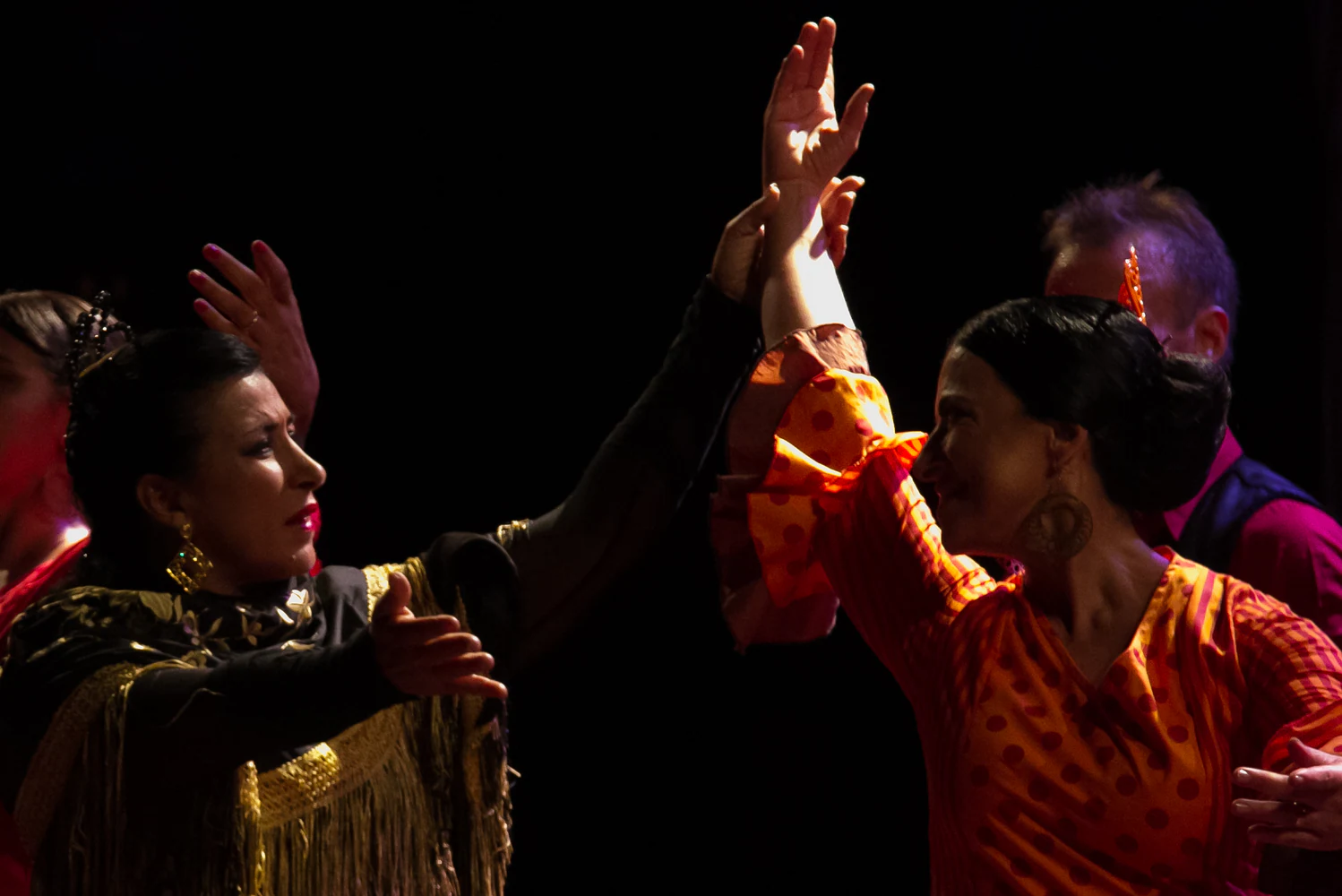 fotografia flamenco girasoles efyc 038