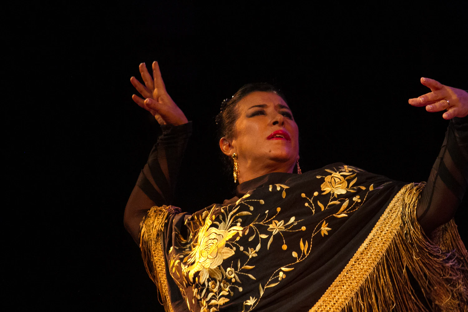 fotografia flamenco girasoles efyc 041
