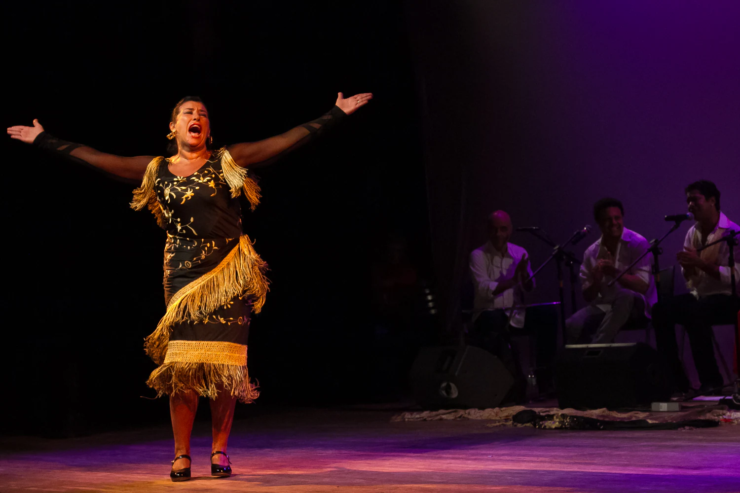 fotografia flamenco girasoles efyc 043