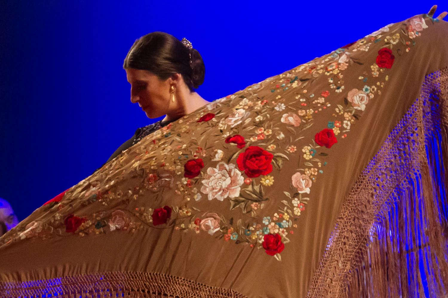 fotografia flamenco girasoles efyc 044