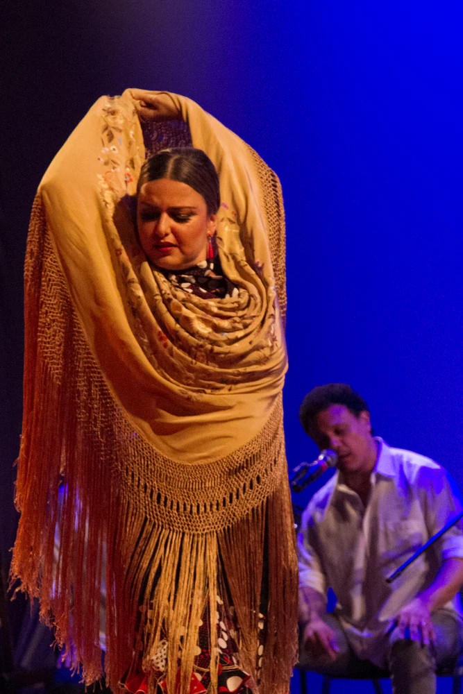 fotografia flamenco girasoles efyc 045