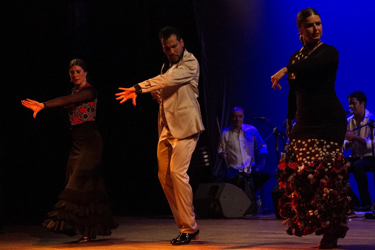 fotografia flamenco girasoles efyc 046