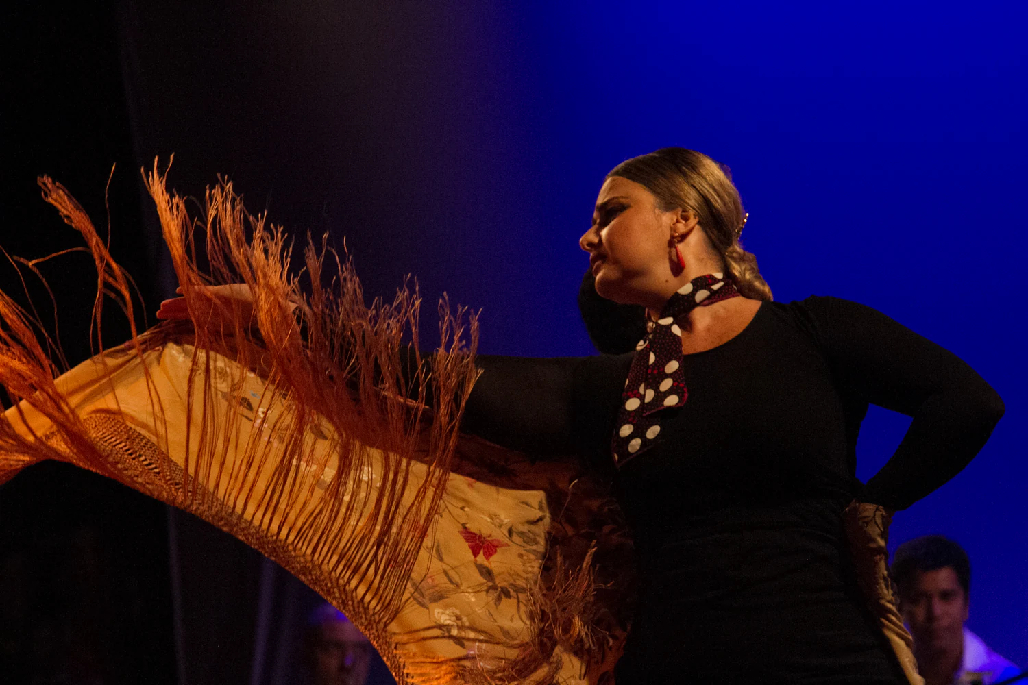 fotografia flamenco girasoles efyc 047