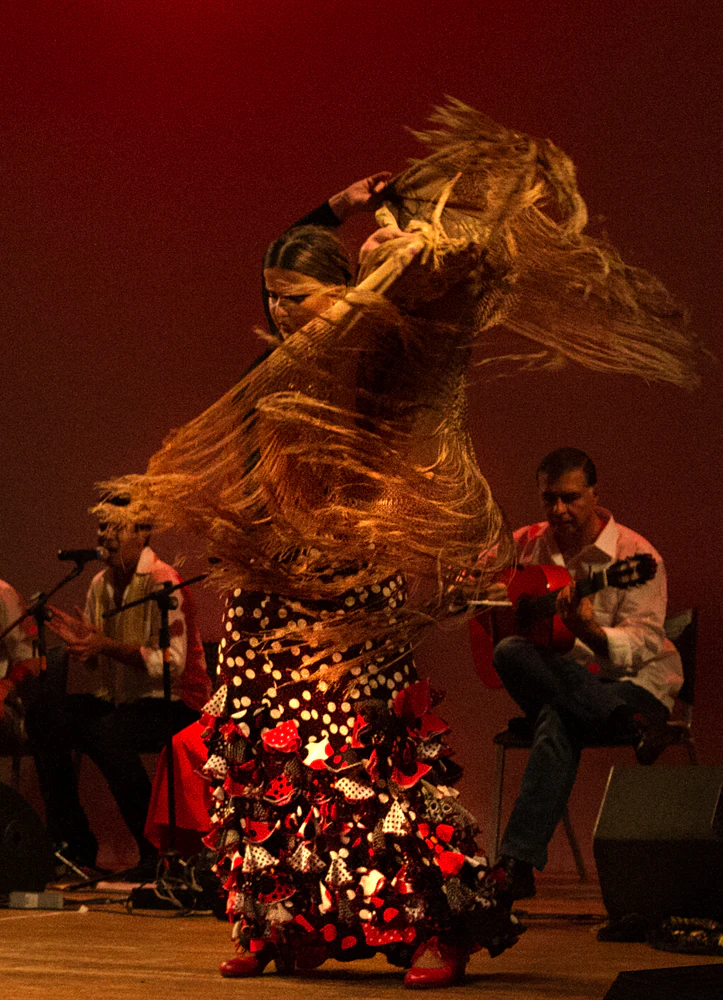 fotografia flamenco girasoles efyc 050