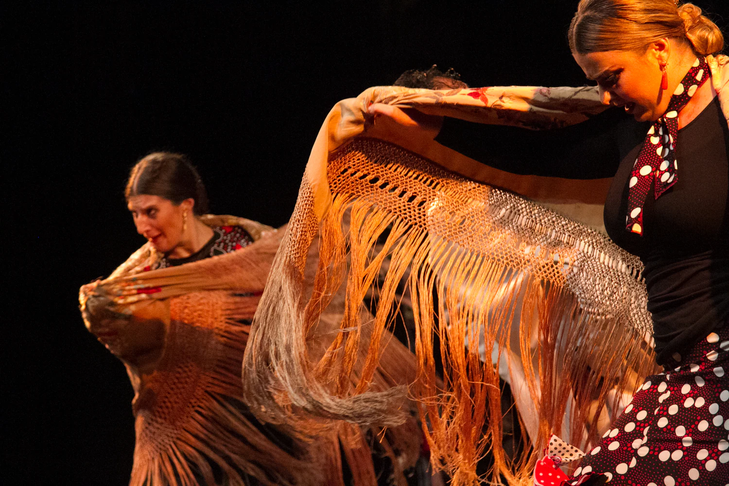 fotografia flamenco girasoles efyc 051