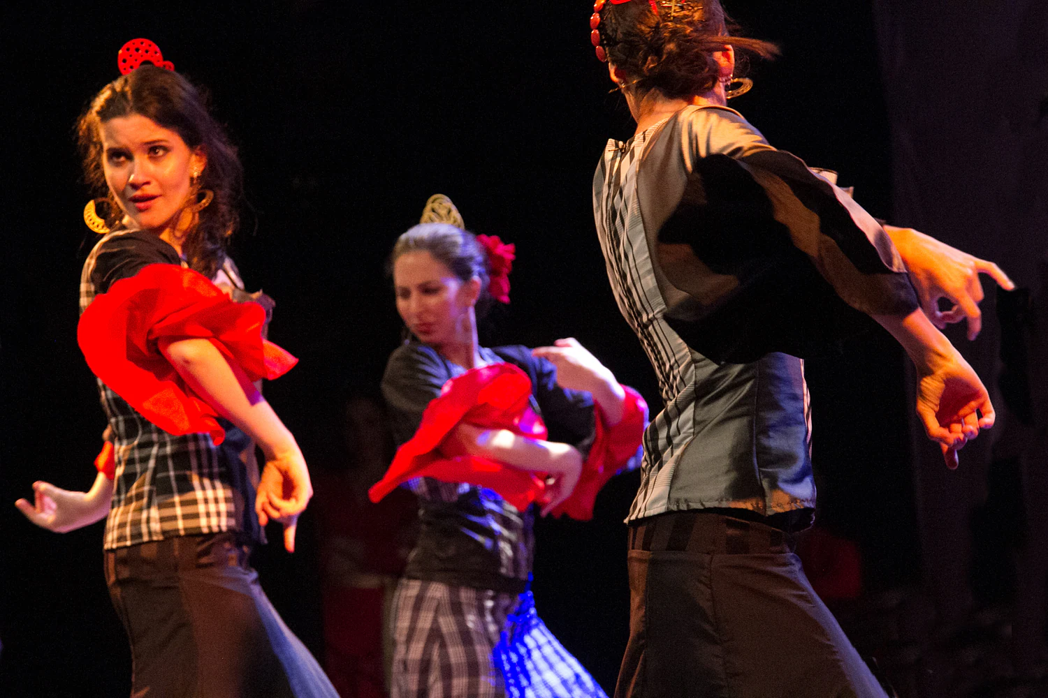 fotografia flamenco girasoles efyc 055
