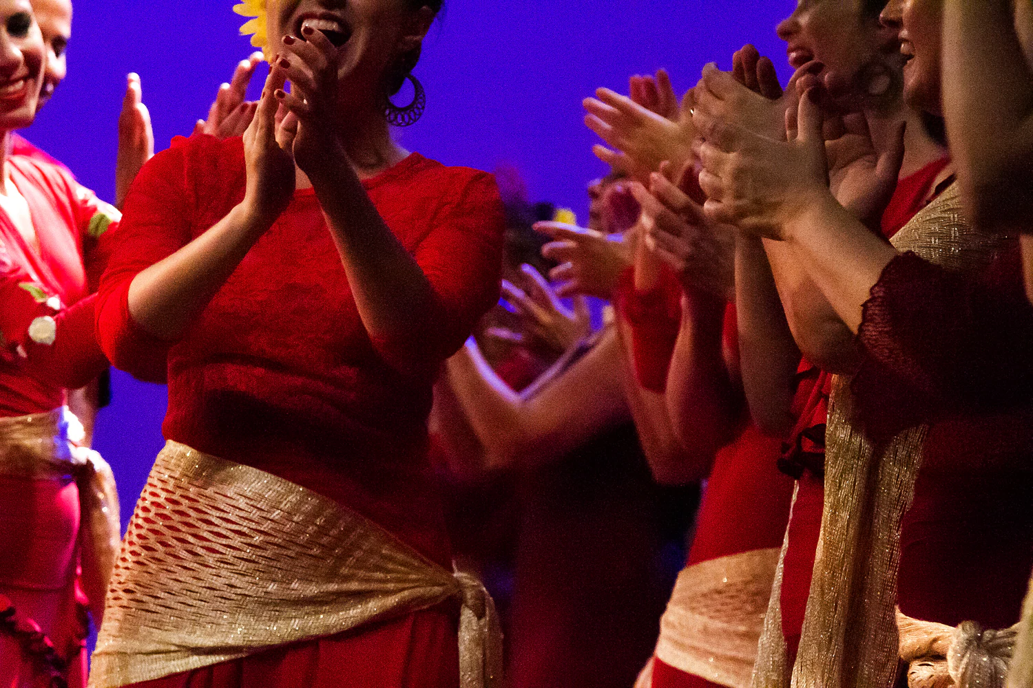 fotografia flamenco girasoles efyc 058
