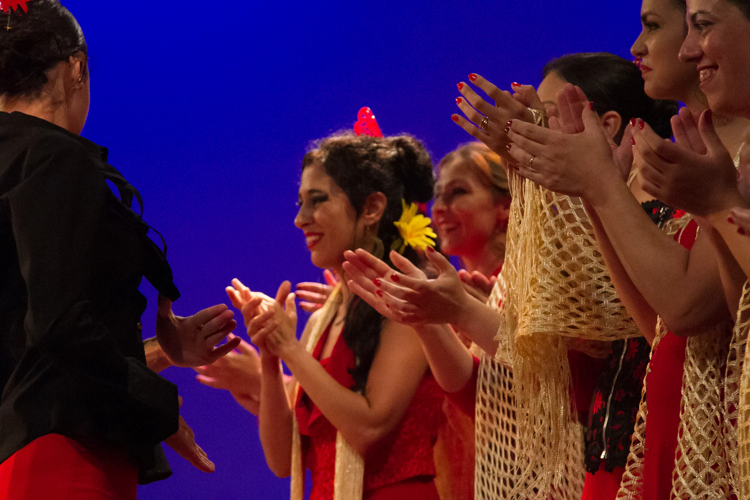 fotografia flamenco girasoles efyc 061