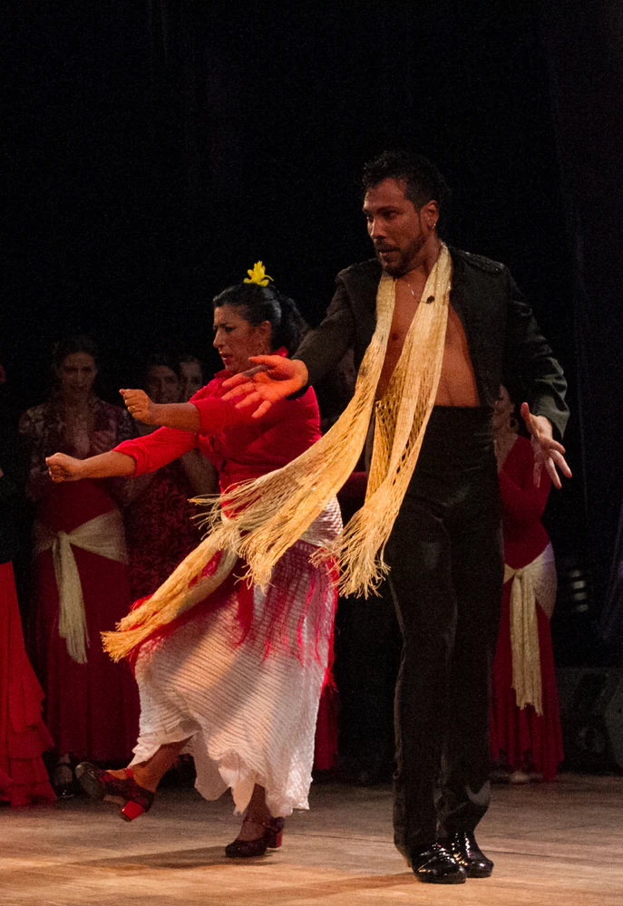 fotografia flamenco girasoles efyc 062
