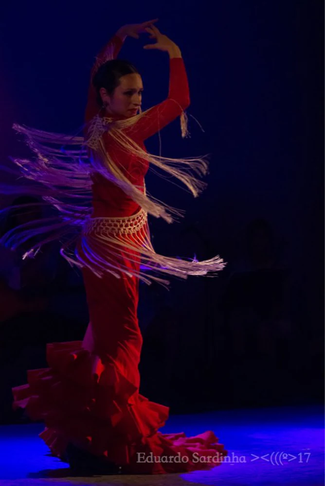 fotografia flamenco mais amor por favor ale kalaf 005