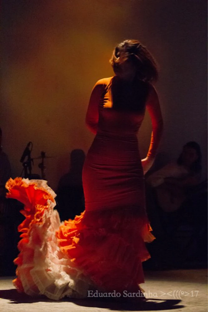 fotografia flamenco mais amor por favor ale kalaf 029
