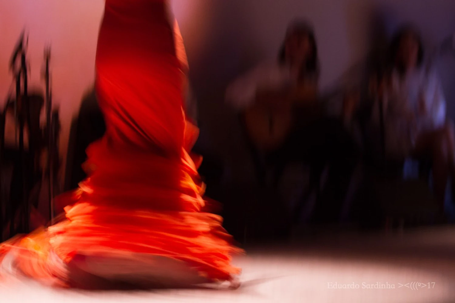 fotografia flamenco mais amor por favor ale kalaf 034