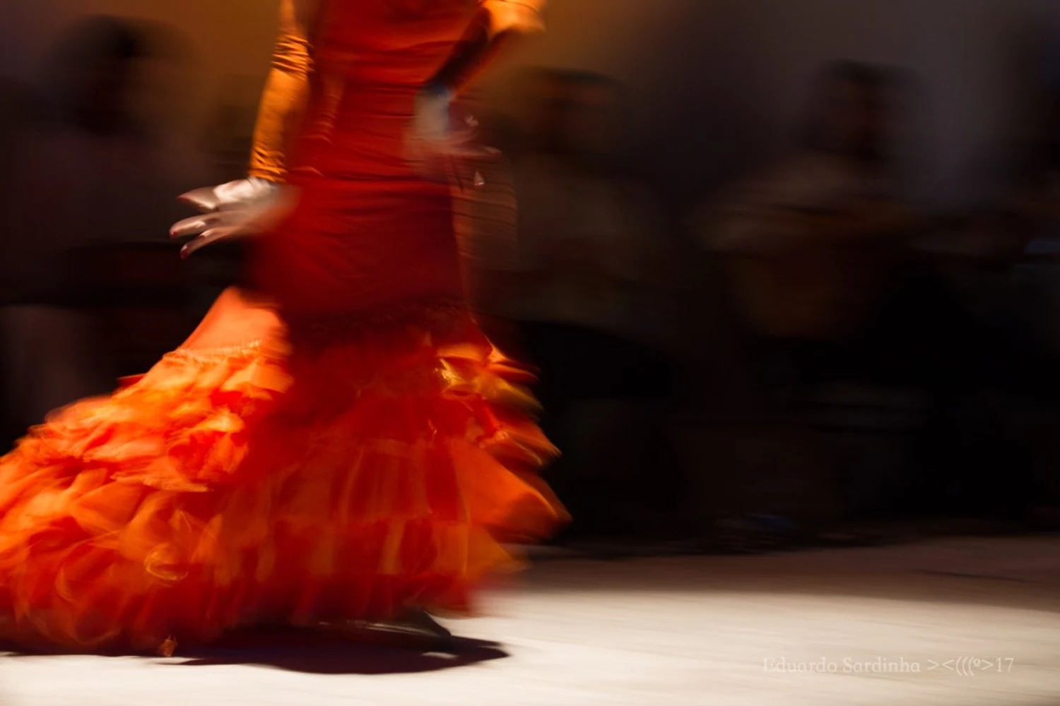 fotografia flamenco mais amor por favor ale kalaf 035