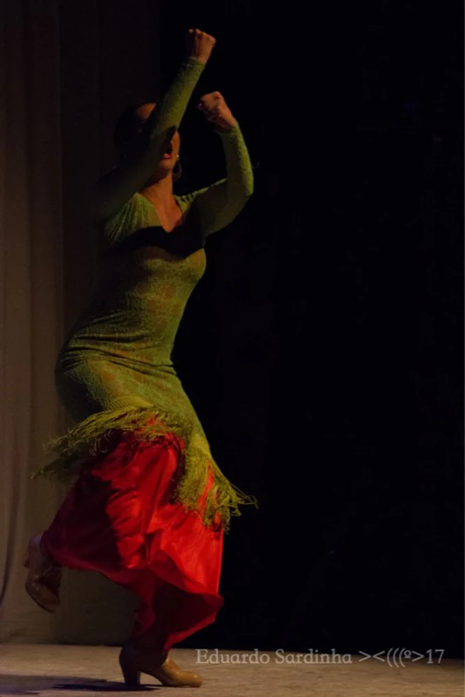 fotografia flamenco mais amor por favor ale kalaf 052