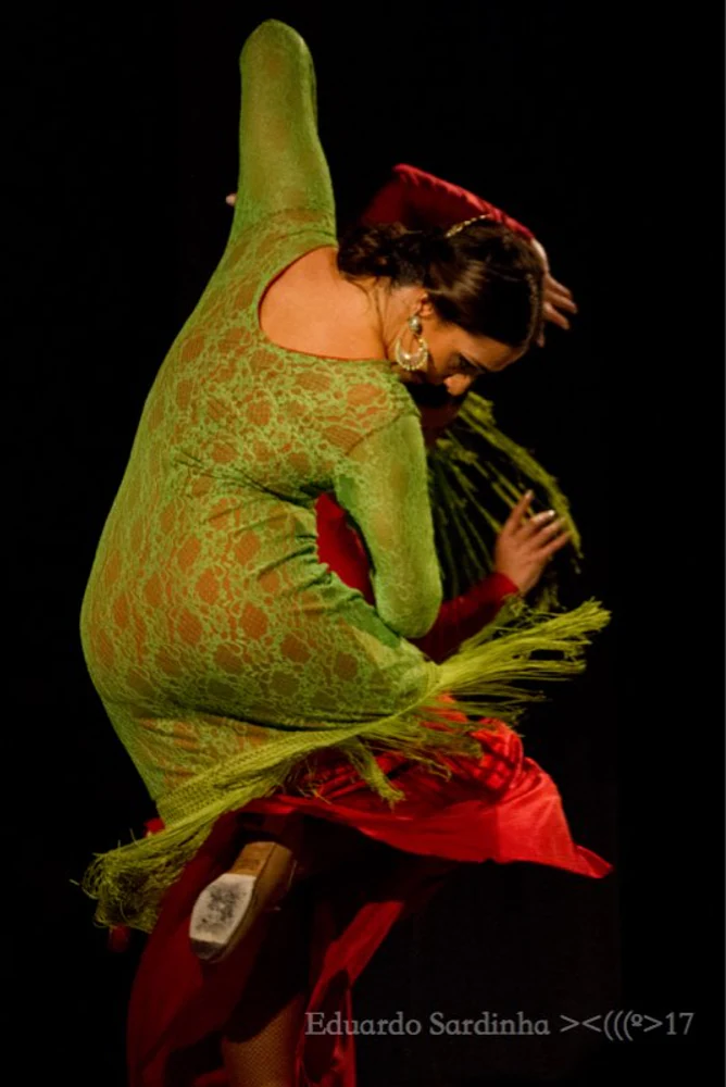 fotografia flamenco mais amor por favor ale kalaf 054