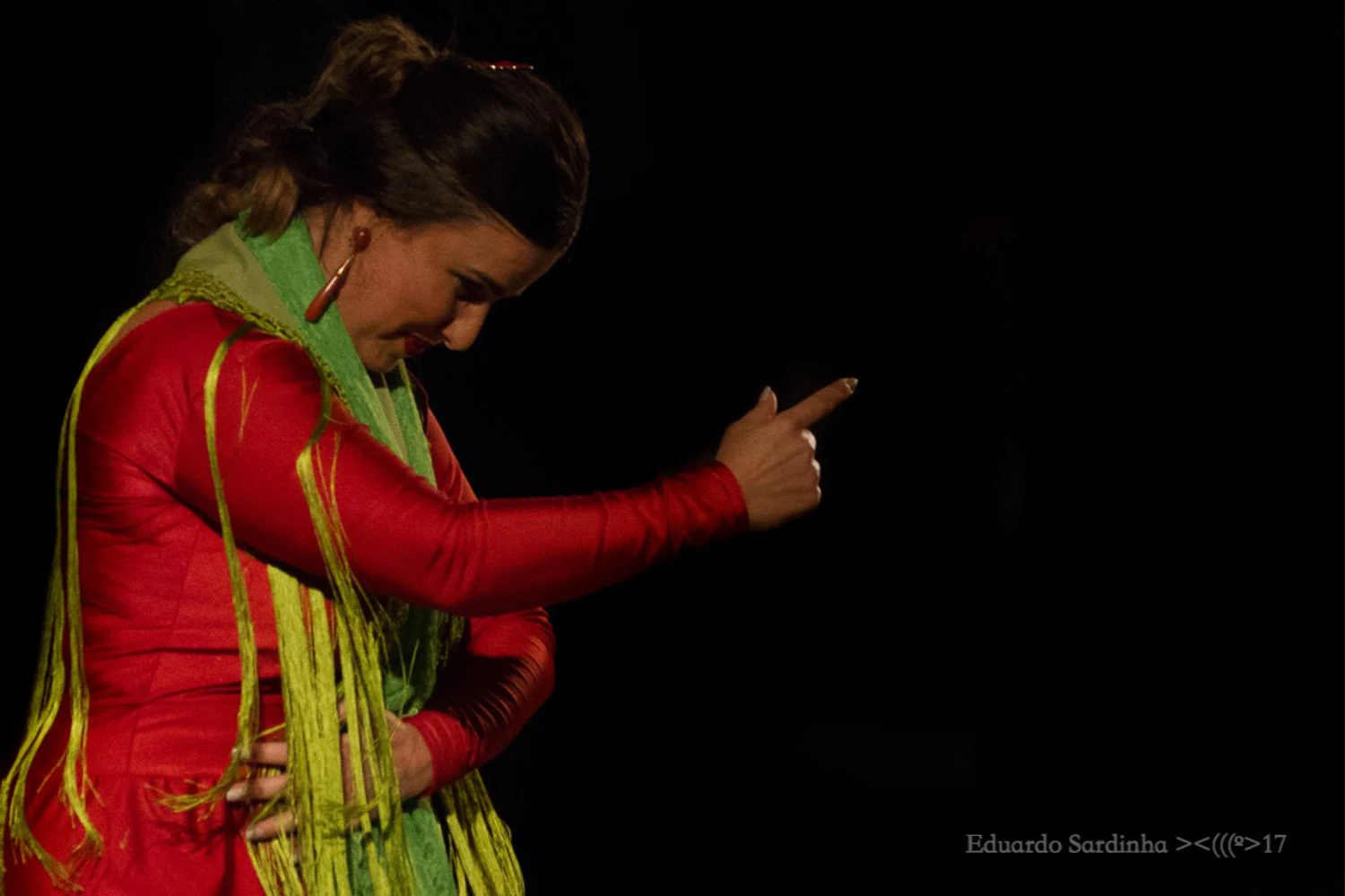 fotografia flamenco mais amor por favor ale kalaf 056