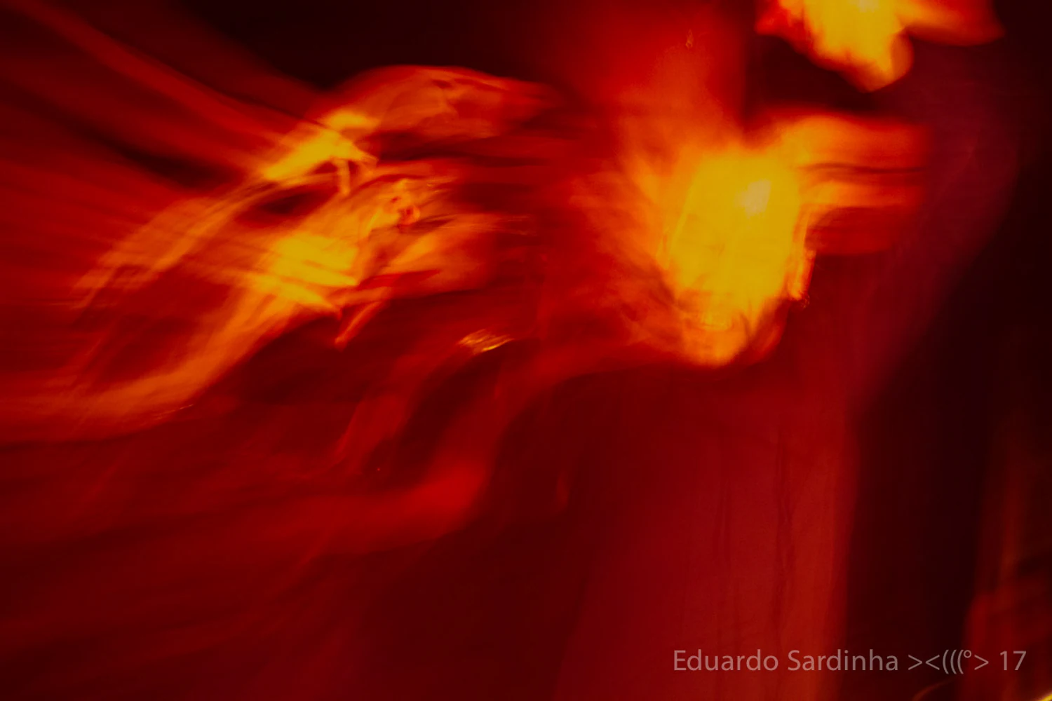 Espetáculo Oro Molido | Carmen Talegona - Fotografia de flamenco por Eduardo Sardinha.