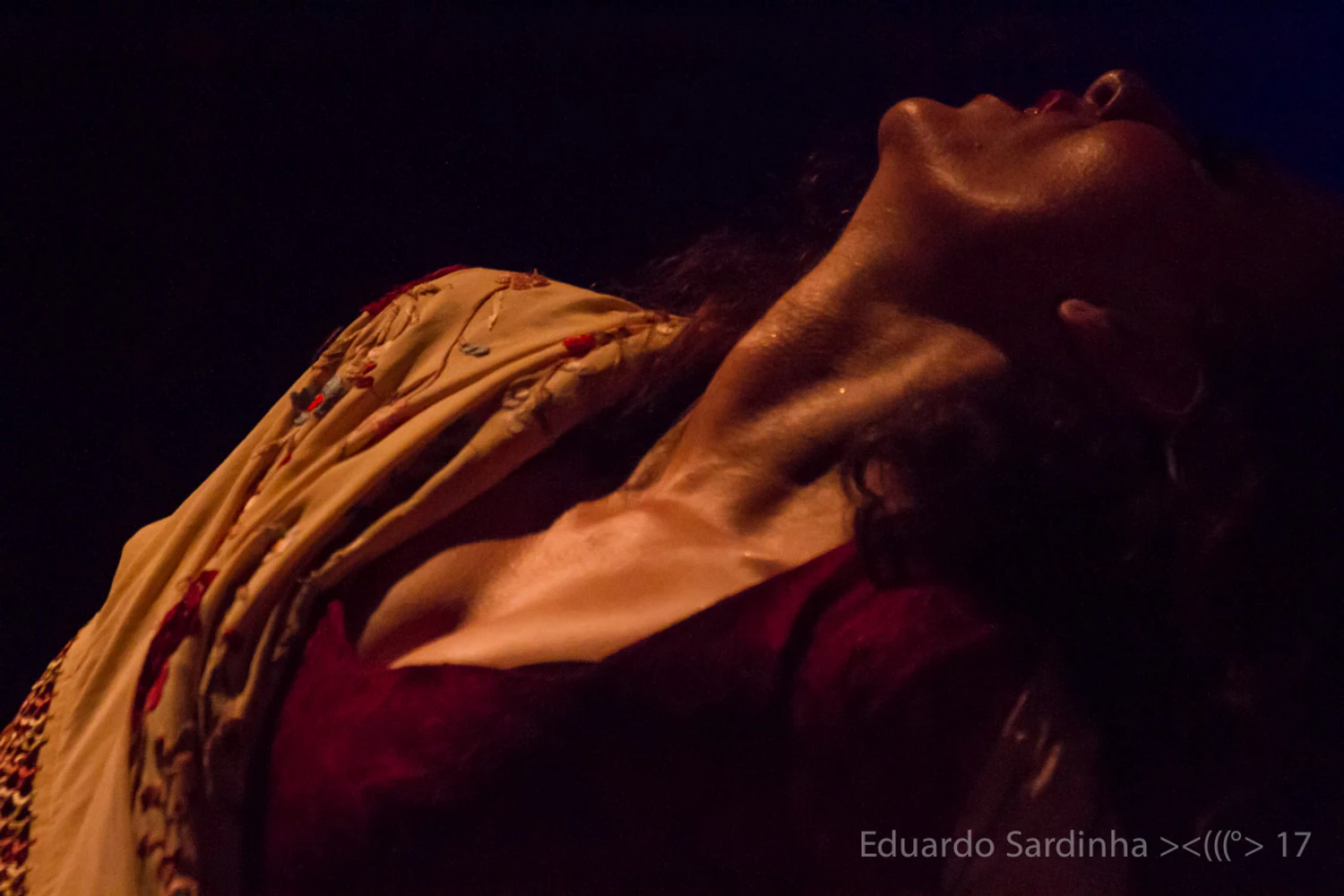 Espetáculo Oro Molido | Carmen Talegona - Fotografia de flamenco por Eduardo Sardinha.