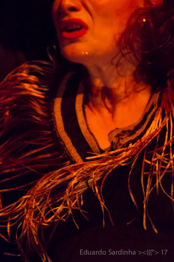 Espetáculo Oro Molido | Carmen Talegona - Fotografia de flamenco por Eduardo Sardinha.
