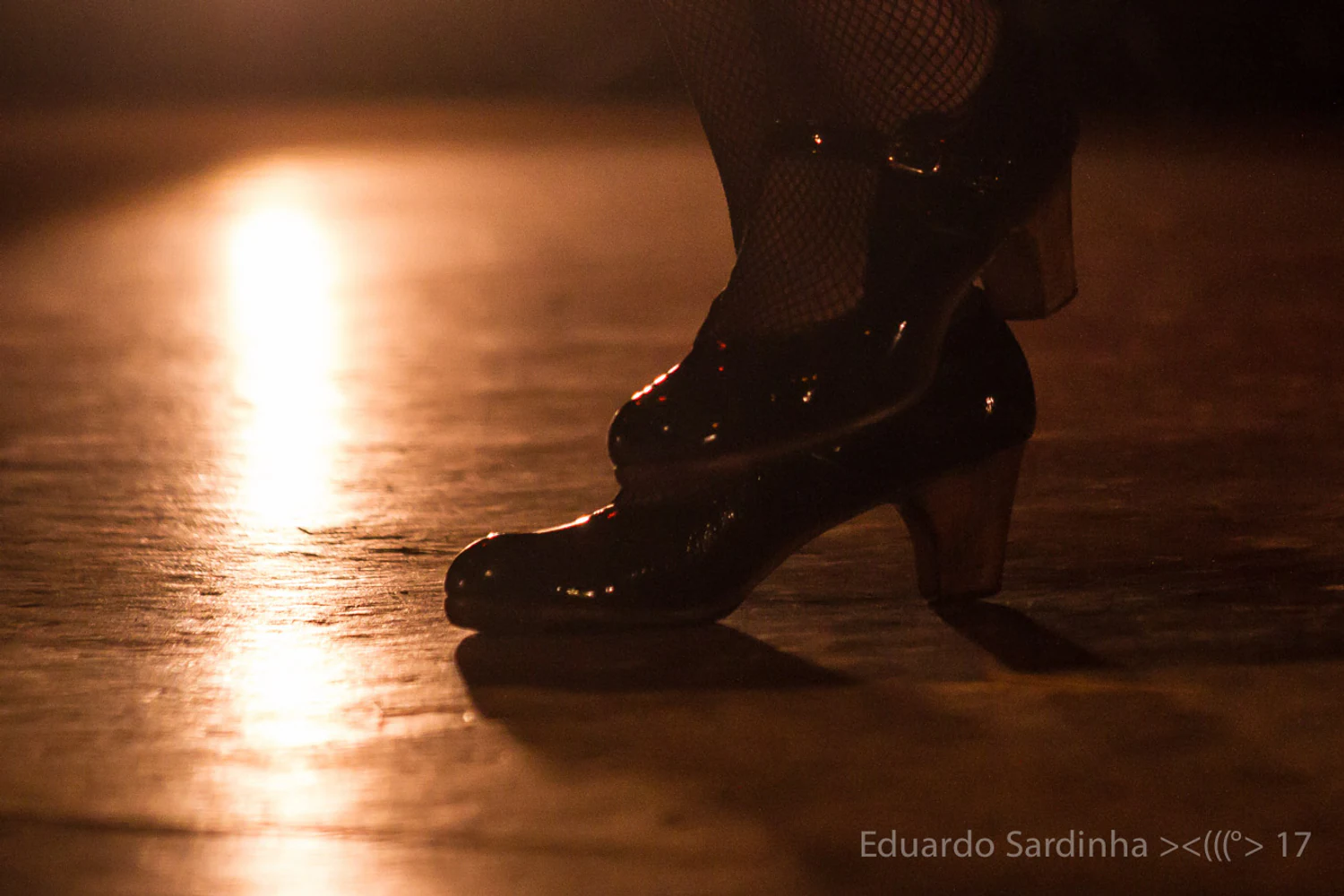 Espetáculo Oro Molido | Carmen Talegona - Fotografia de flamenco por Eduardo Sardinha.