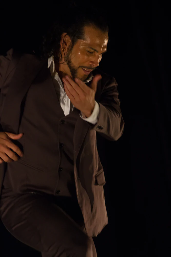 fotografia flamenco toro negro palco 003