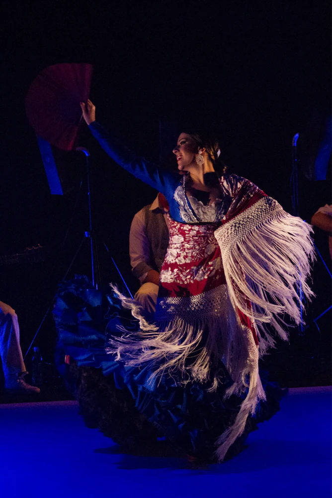 fotografia flamenco toro negro palco 004