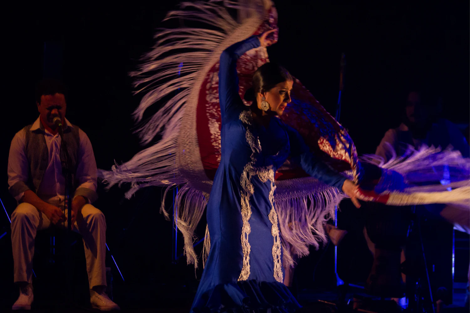 fotografia flamenco toro negro palco 005
