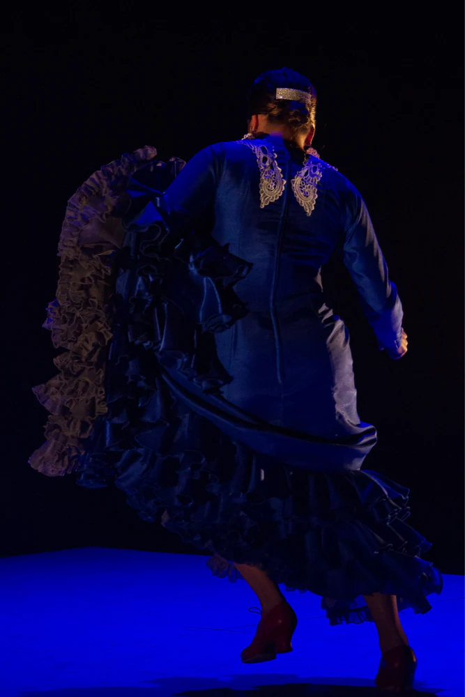 fotografia flamenco toro negro palco 008